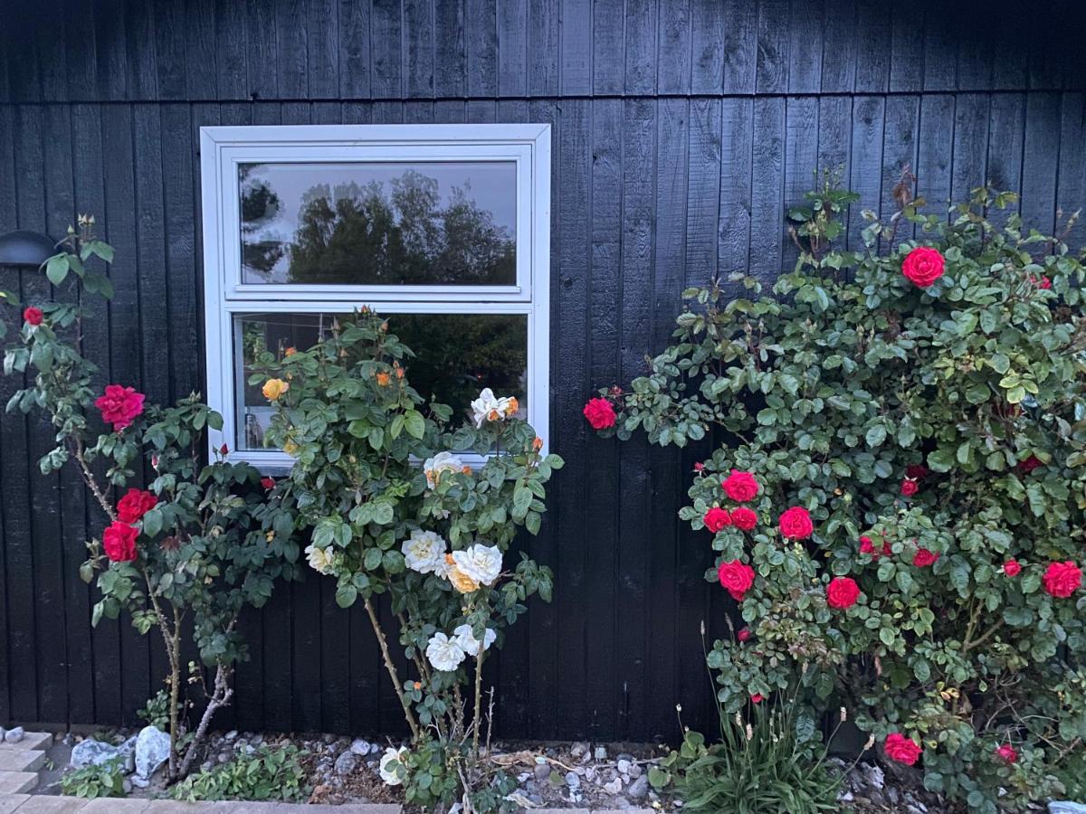 Nyhus, Dragsmur, Mols Knebel Exterior photo